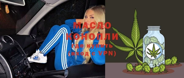 сатива Беломорск