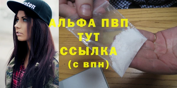 индика Белокуриха