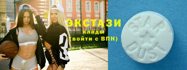 индика Белокуриха