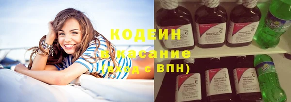 индика Белокуриха