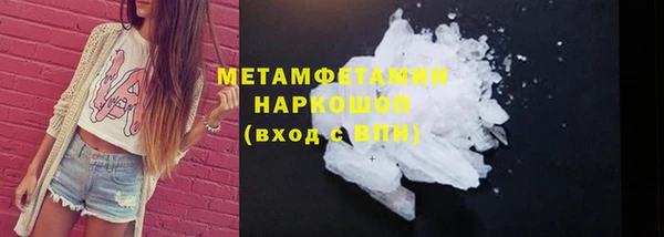 сатива Беломорск