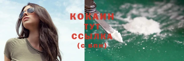 сатива Беломорск