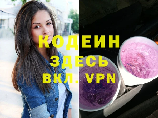 сатива Беломорск