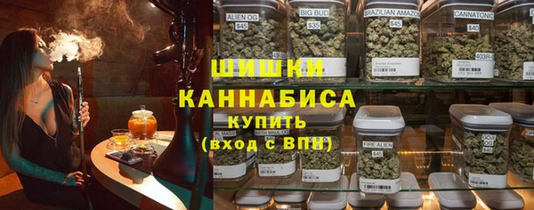 индика Белокуриха