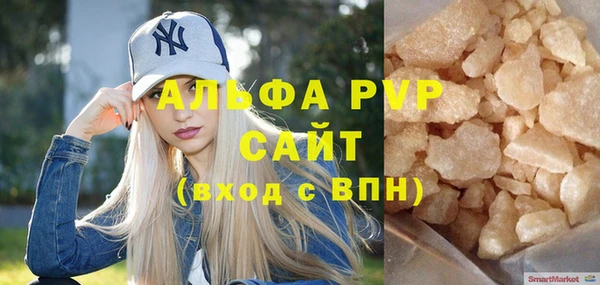 индика Белокуриха