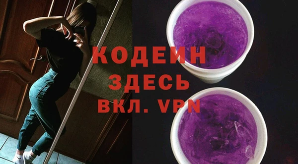 индика Белокуриха