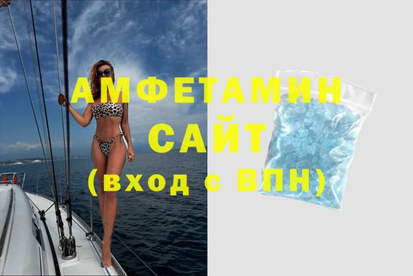 сатива Беломорск