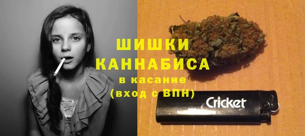 индика Белокуриха