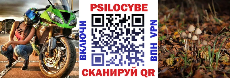 продажа наркотиков  OMG tor  Псилоцибиновые грибы MAGIC MUSHROOMS  Белогорск 