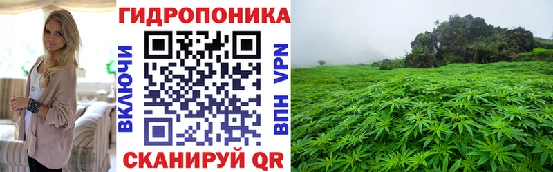 OMG онион  Белогорск  Шишки марихуана White Widow 